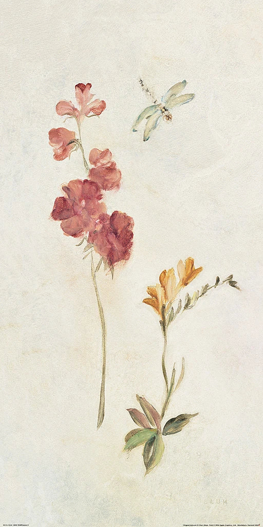 Wild Wallflowers II by Cheri Blum