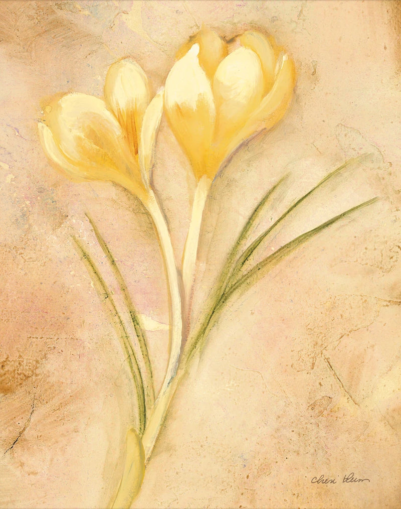 Yellow Crocus by Cheri Blum