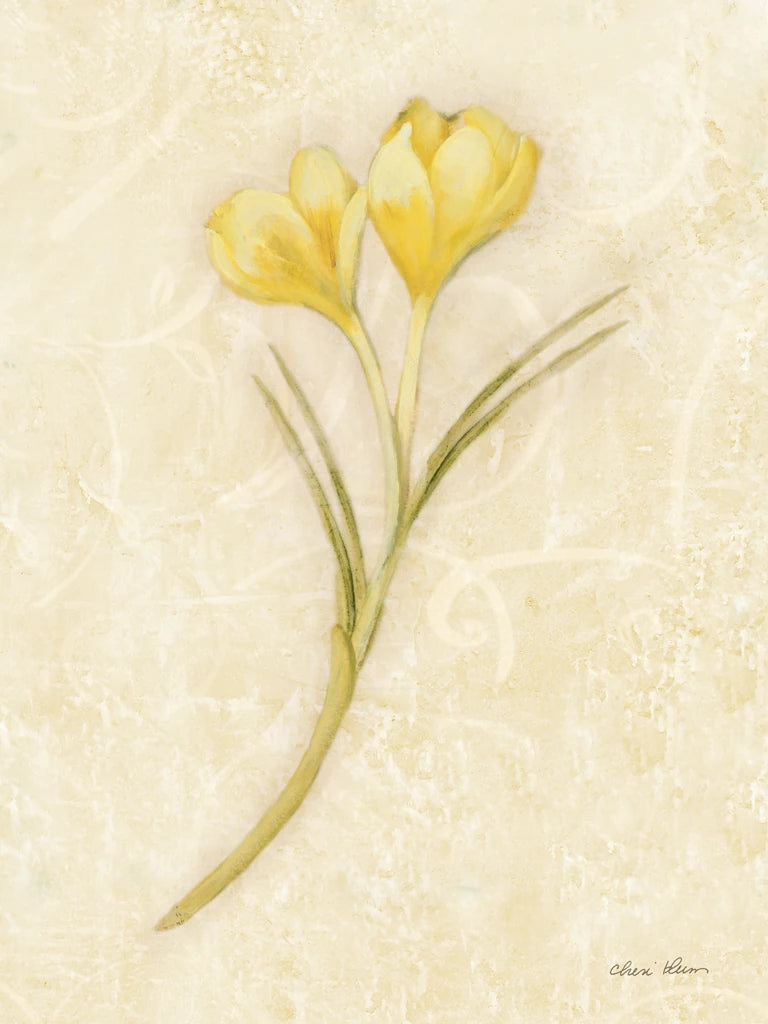 Yellow Crocus Stem by Cheri Blum
