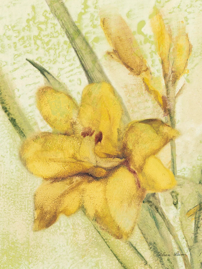 Yellow Day Lily by Cheri Blum