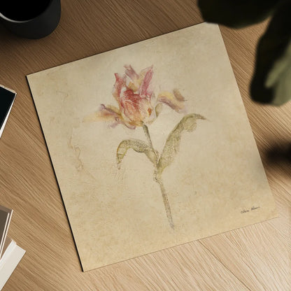 Zoomer Schoon Tulip by Cheri Blum. Shown as a detailed flat fine art print, highlighting archival giclee quality. Available as an archival giclee rolled canvas, fine art paper, or poster print. SKU 7353a.