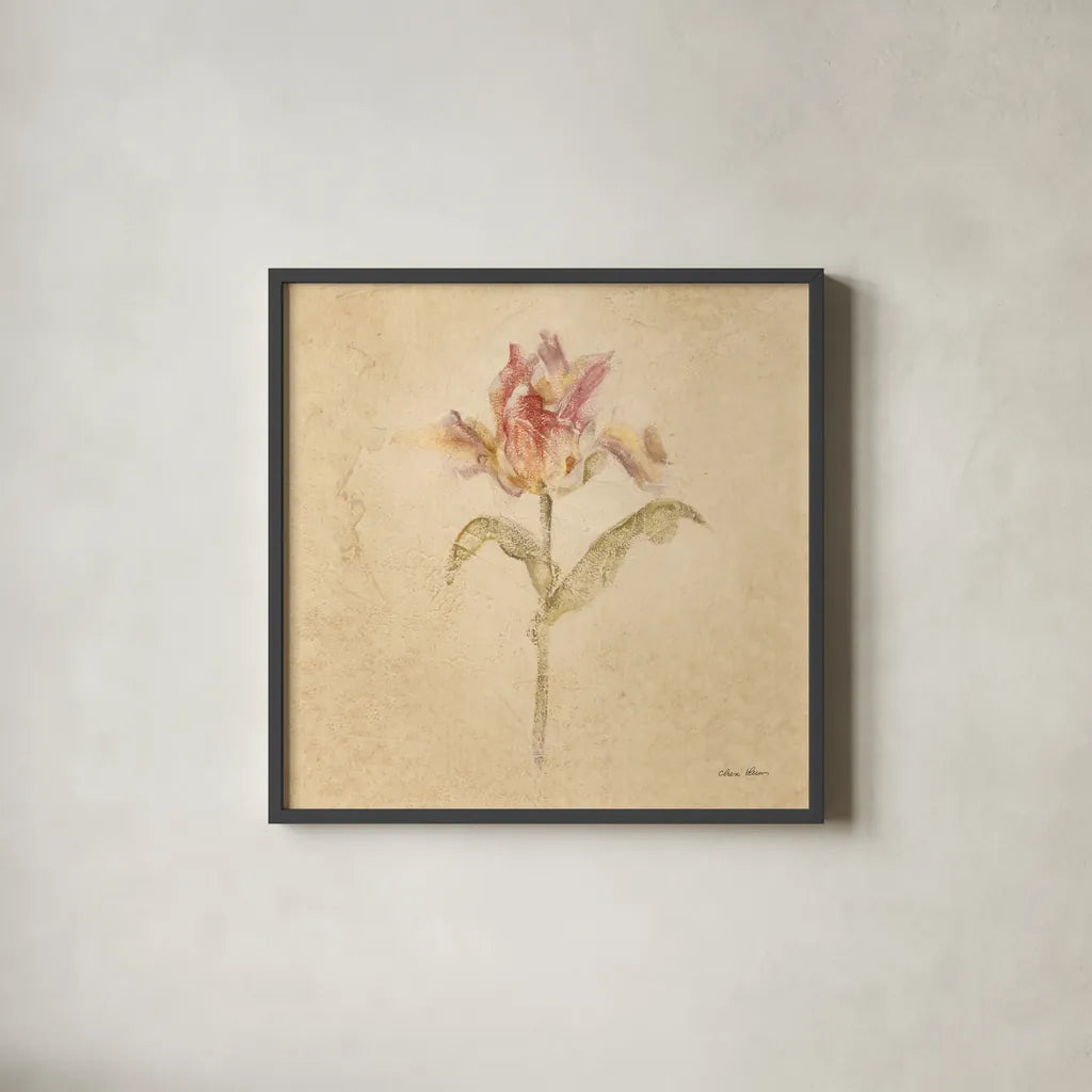 Zoomer Schoon Tulip by Cheri Blum. Shown in a sleek black glass frame for a contemporary gallery look. Available as an archival giclee rolled canvas, fine art paper, or poster print. SKU 7353a.