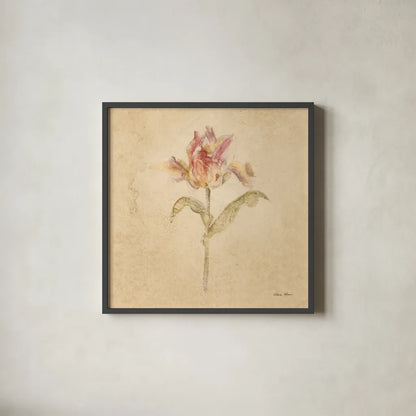 Zoomer Schoon Tulip by Cheri Blum. Shown in a sleek black glass frame for a contemporary gallery look. Available as an archival giclee rolled canvas, fine art paper, or poster print. SKU 7353a.