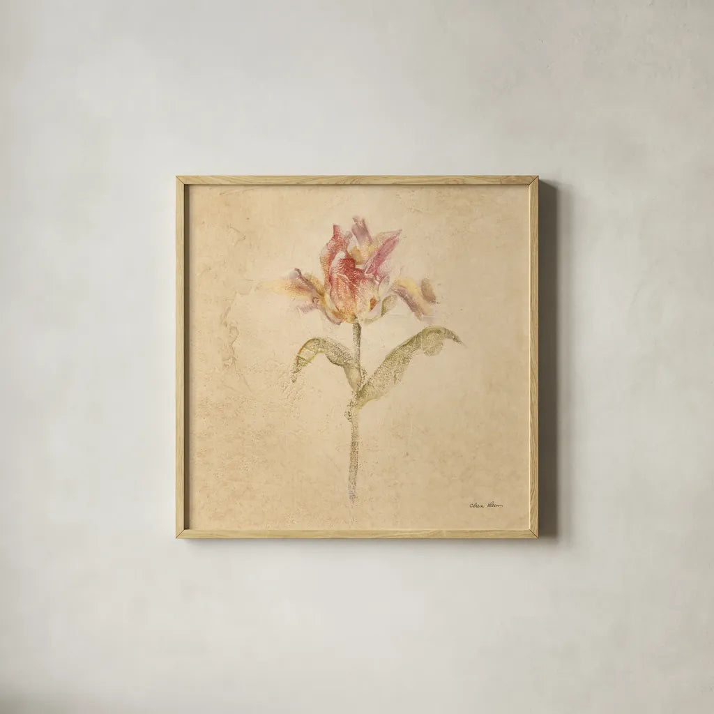 Zoomer Schoon Tulip by Cheri Blum. Shown in a natural wood glass frame for a timeless modern aesthetic. Available as an archival giclee rolled canvas, fine art paper, or poster print. SKU 7353a.
