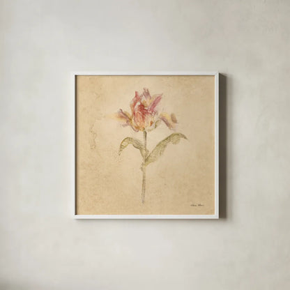 Zoomer Schoon Tulip by Cheri Blum. Shown in a crisp white glass frame for a clean and minimalist style. Available as an archival giclee rolled canvas, fine art paper, or poster print. SKU 7353a.