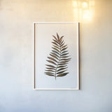 Botanique Beauty II by Cheryl Warrick. shown as a paper print in a white frame. Available as a archival giclee rolled canvas, fine art paper, or poster print. SKU 86953h.