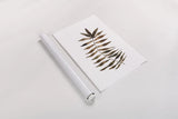Botanique Beauty III by Cheryl Warrick. shown as a rolled paper print. Available as archival giclee rolled canvas, fine art paper, or poster print. SKU 86954h.