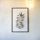 Botanique Beauty III by Cheryl Warrick. shown as a paper print in a black flame. Available as a archival giclee rolled canvas, fine art paper, or poster print. SKU 86954h.