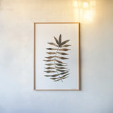 Botanique Beauty III by Cheryl Warrick. shown as a paper print in a natural frame. Available as a archival giclee rolled canvas, fine art paper, or poster print. SKU 86954h.