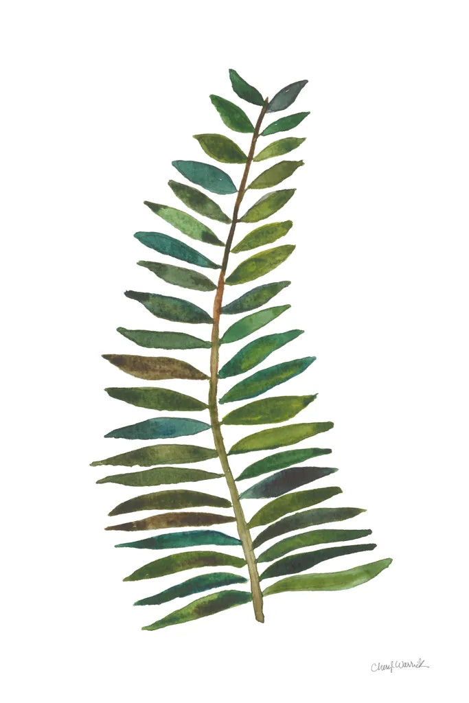 Forest Fern Trio II by Cheryl Warrick. SKU 86948h. Archival Giclee Fine art print for wall decor.