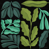 Plant Toss II by Cheryl Warrick. SKU 90946a. Archival Giclee Fine art print for wall decor.