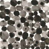 Seeing Spots II by Cheryl Warrick. SKU 86961a. Archival Giclee Fine art print for wall decor.