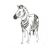 African Animals VII by Chris Paschke. SKU 65008a. Archival Giclee Fine art print for wall decor.