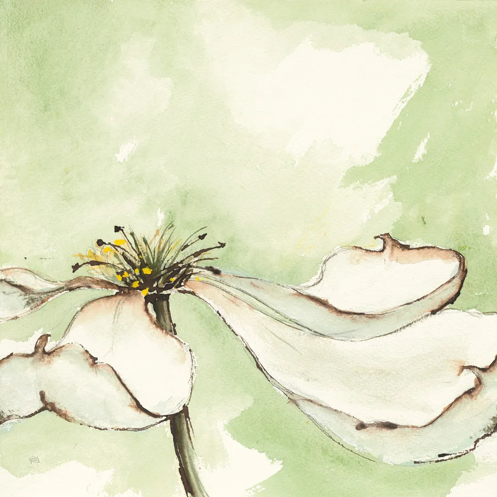 After Dogwood I by Chris Paschke. SKU 39192a. Archival Giclee Fine art print for wall decor.