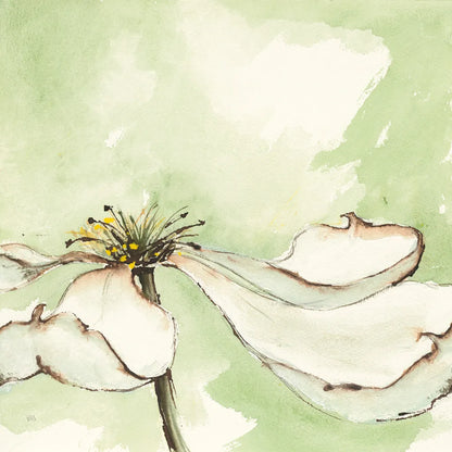 After Dogwood I by Chris Paschke. SKU 39192a. Archival Giclee Fine art print for wall decor.