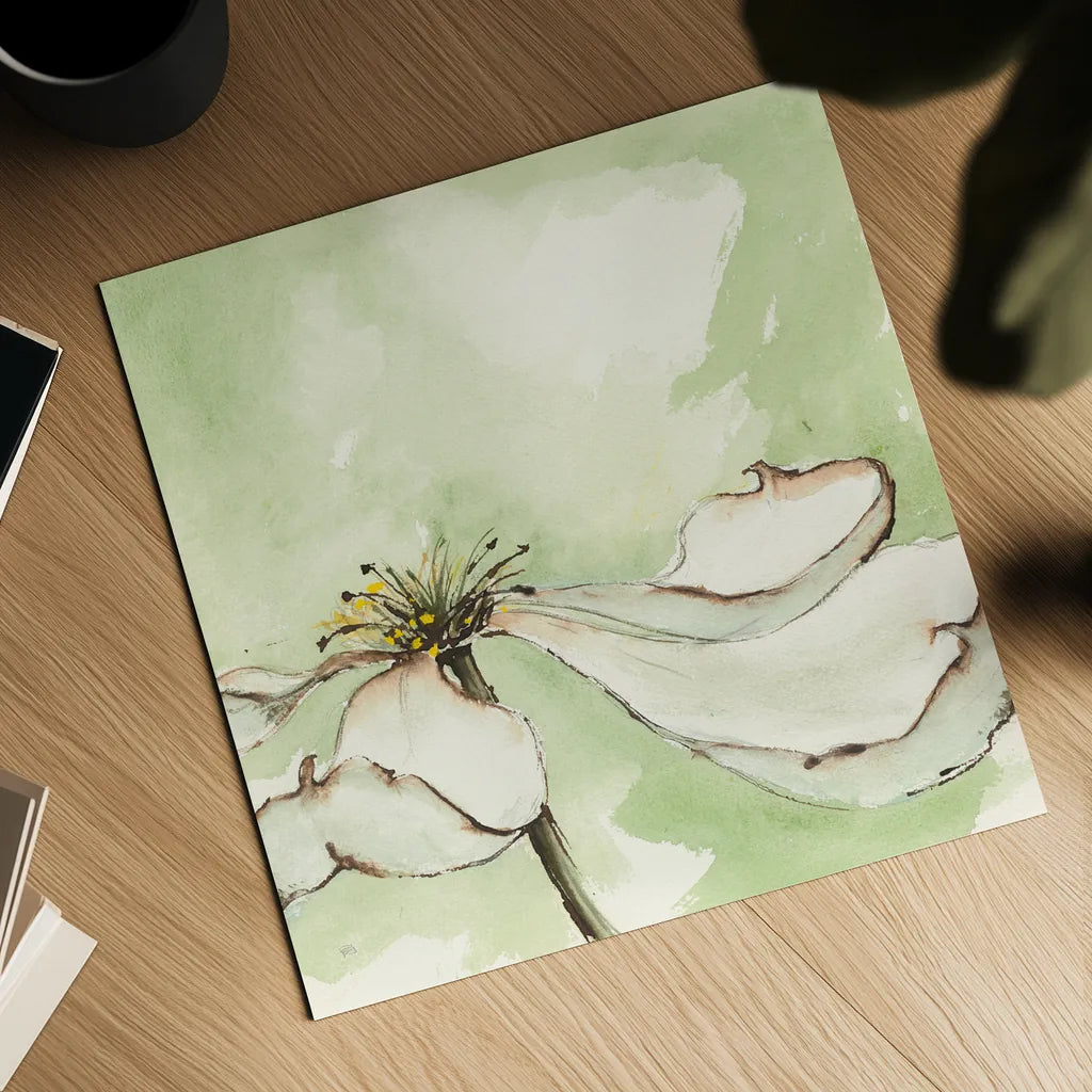 After Dogwood I by Chris Paschke. Shown as a detailed flat fine art print, highlighting archival giclee quality. Available as an archival giclee rolled canvas, fine art paper, or poster print. SKU 39192a.