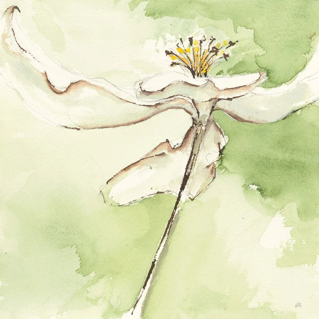 After Dogwood II by Chris Paschke. SKU 39191a. Archival Giclee Fine art print for wall decor.