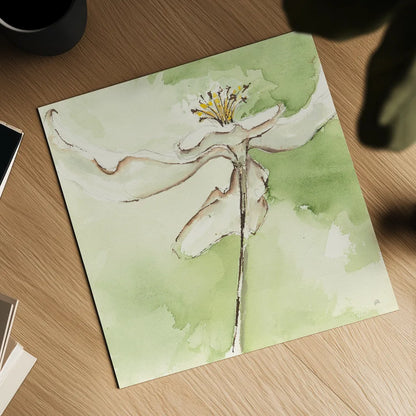 After Dogwood II by Chris Paschke. Shown as a detailed flat fine art print, highlighting archival giclee quality. Available as an archival giclee rolled canvas, fine art paper, or poster print. SKU 39191a.