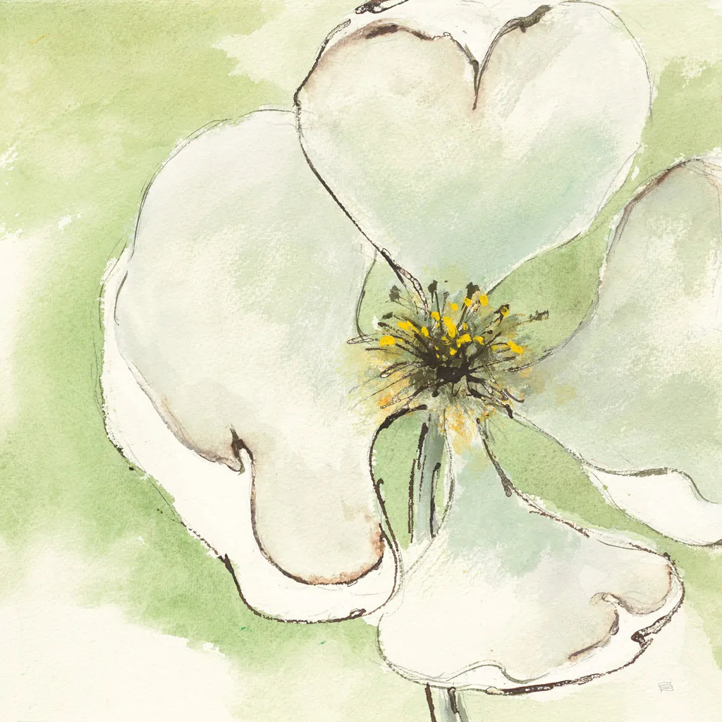 After Dogwood IV by Chris Paschke. SKU 10985a. Archival Giclee Fine art print for wall decor.