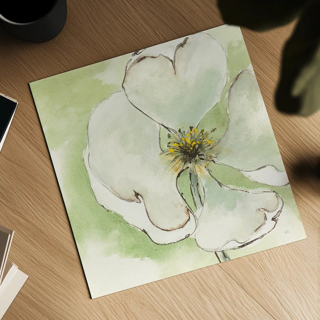 After Dogwood IV by Chris Paschke. Shown as a detailed flat fine art print, highlighting archival giclee quality. Available as an archival giclee rolled canvas, fine art paper, or poster print. SKU 10985a.