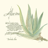 Aloe Vera by Chris Paschke. SKU 1446a. Archival Giclee Fine art print for wall decor.