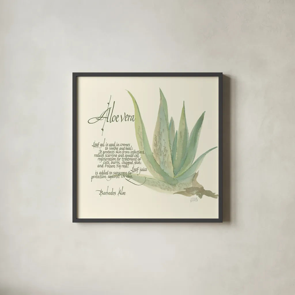 Aloe Vera by Chris Paschke. Shown in a sleek black glass frame for a contemporary gallery look. Available as an archival giclee rolled canvas, fine art paper, or poster print. SKU 1446a.