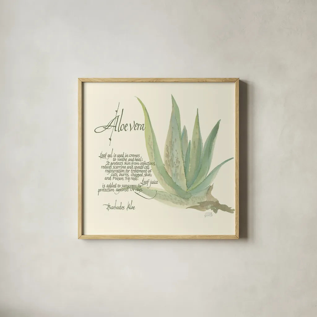Aloe Vera by Chris Paschke. Shown in a natural wood glass frame for a timeless modern aesthetic. Available as an archival giclee rolled canvas, fine art paper, or poster print. SKU 1446a.