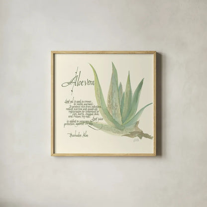 Aloe Vera by Chris Paschke. Shown in a natural wood glass frame for a timeless modern aesthetic. Available as an archival giclee rolled canvas, fine art paper, or poster print. SKU 1446a.