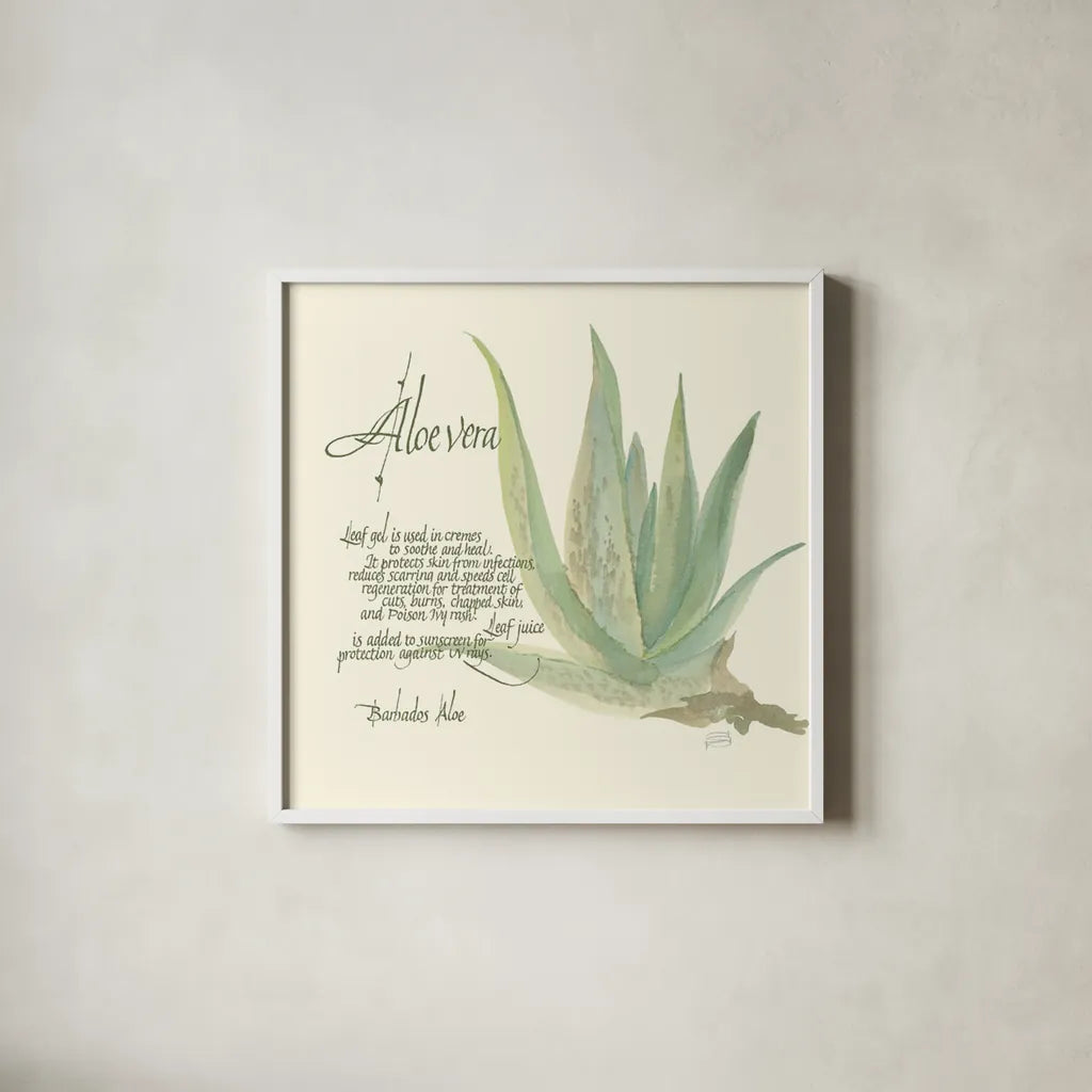 Aloe Vera by Chris Paschke. Shown in a crisp white glass frame for a clean and minimalist style. Available as an archival giclee rolled canvas, fine art paper, or poster print. SKU 1446a.