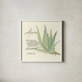 Aloe Vera by Chris Paschke. Shown in a crisp white glass frame for a clean and minimalist style. Available as an archival giclee rolled canvas, fine art paper, or poster print. SKU 1446a.