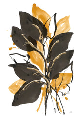 Amber Black and Gold II by Chris Paschke. SKU 76323h. Archival Giclee Fine art print for wall decor.