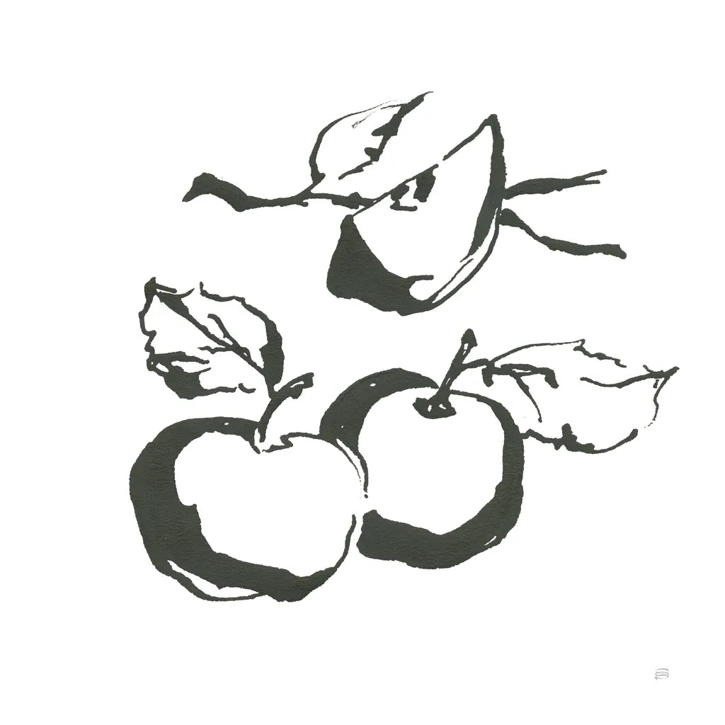 Apples BW by Chris Paschke. SKU 64208a. Archival Giclee Fine art print for wall decor.