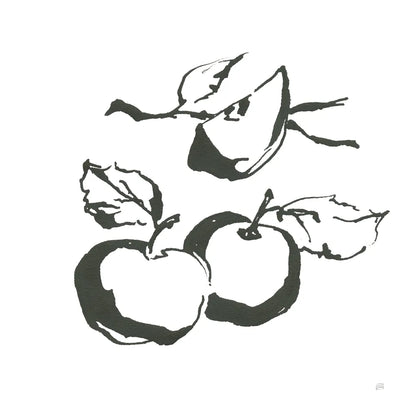 Apples BW by Chris Paschke. SKU 64208a. Archival Giclee Fine art print for wall decor.