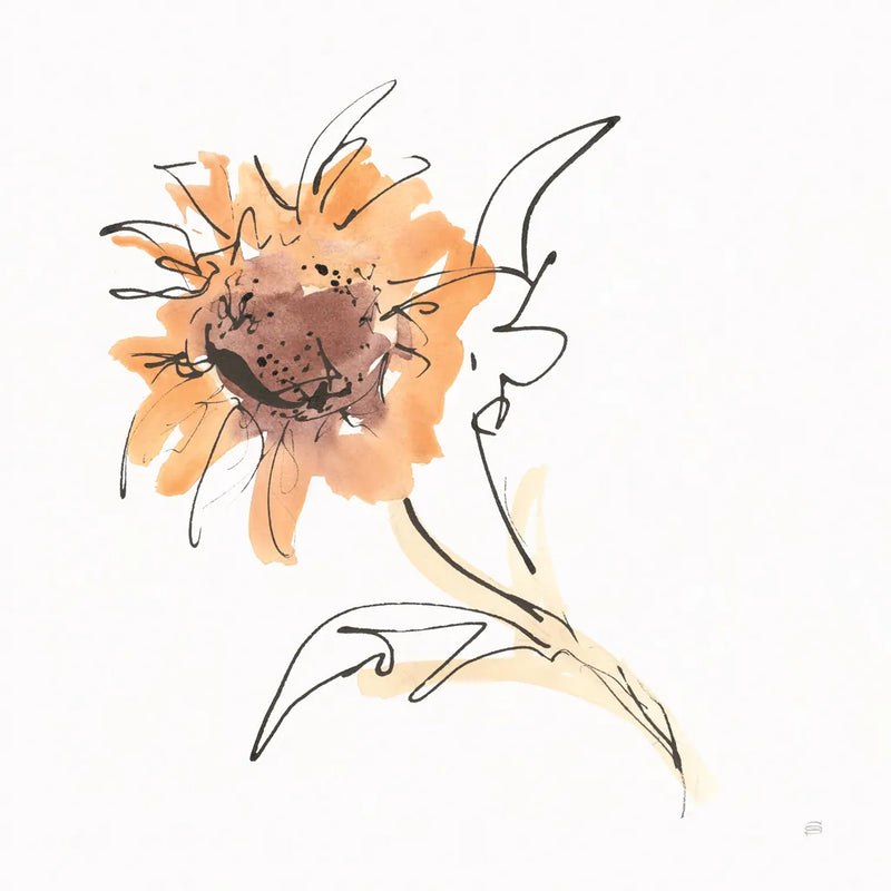 Apricot Sunflower I by Chris Paschke. SKU 91438a. Archival Giclee Fine art print for wall decor.