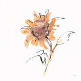 Apricot Sunflower II by Chris Paschke. SKU 91439a. Archival Giclee Fine art print for wall decor.