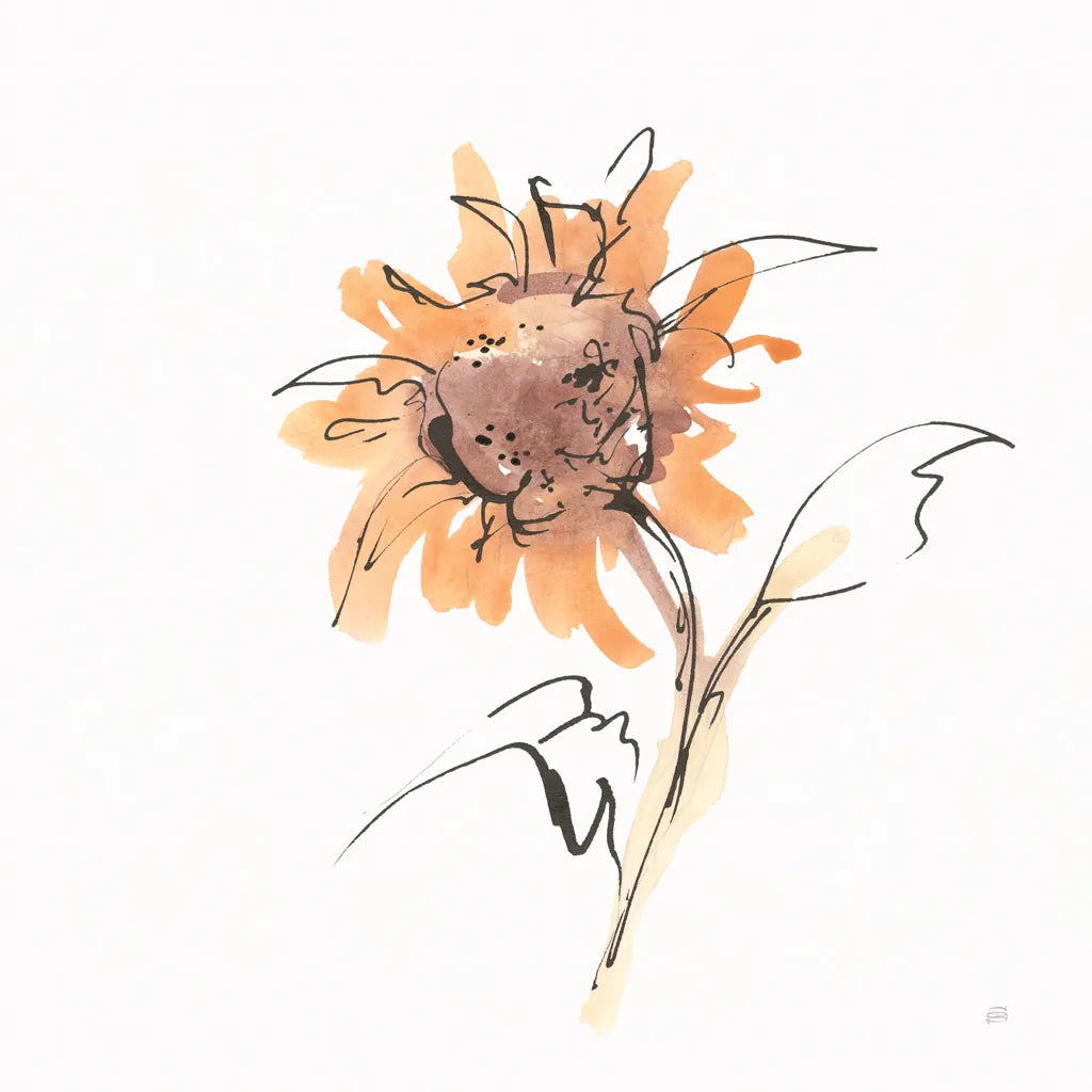 Apricot Sunflower II by Chris Paschke. SKU 91439a. Archival Giclee Fine art print for wall decor.