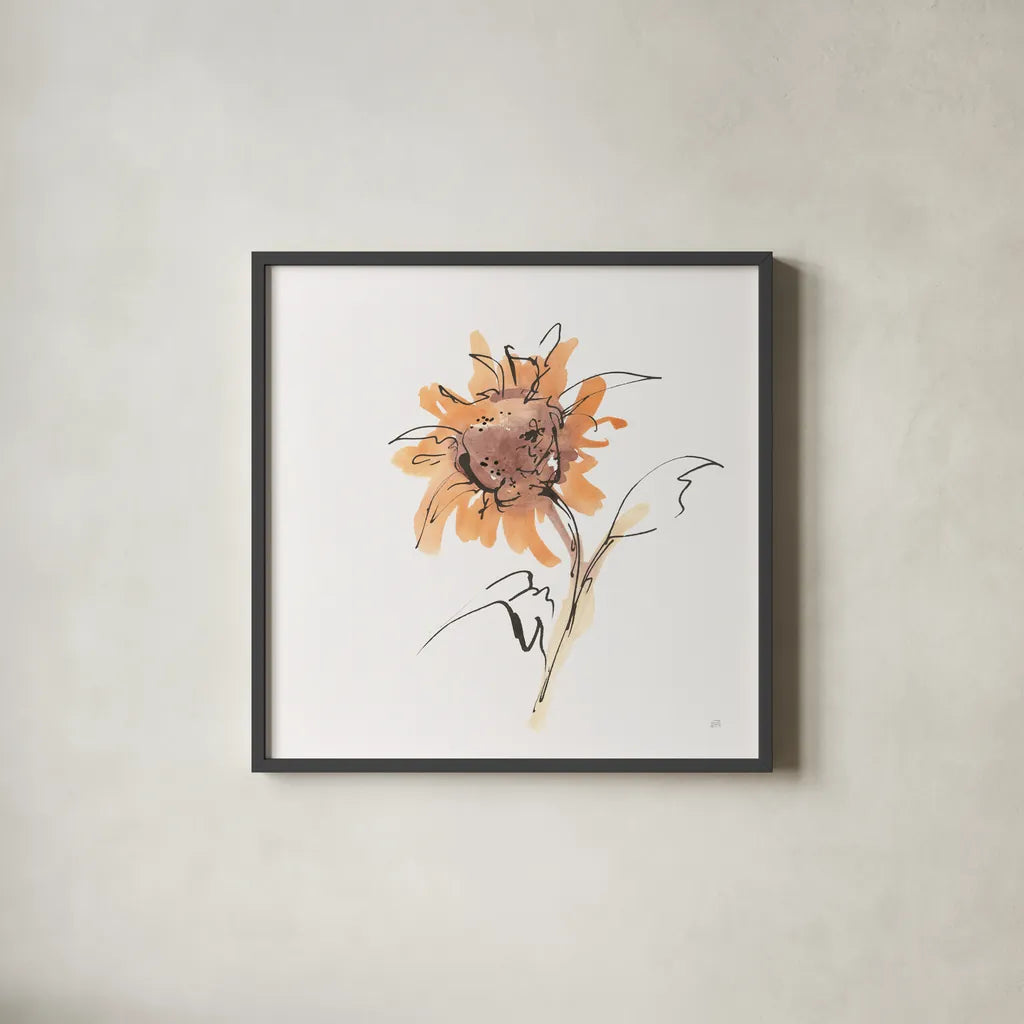 Apricot Sunflower II by Chris Paschke. Shown in a sleek black glass frame for a contemporary gallery look. Available as an archival giclee rolled canvas, fine art paper, or poster print. SKU 91439a.