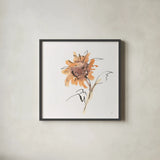 Apricot Sunflower II by Chris Paschke. Shown in a sleek black glass frame for a contemporary gallery look. Available as an archival giclee rolled canvas, fine art paper, or poster print. SKU 91439a.
