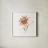 Apricot Sunflower II by Chris Paschke. Shown in a crisp white glass frame for a clean and minimalist style. Available as an archival giclee rolled canvas, fine art paper, or poster print. SKU 91439a.