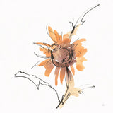 Apricot Sunflower III by Chris Paschke. SKU 91440a. Archival Giclee Fine art print for wall decor.