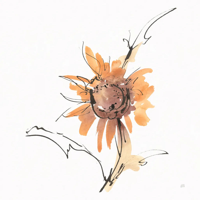 Apricot Sunflower III by Chris Paschke. SKU 91440a. Archival Giclee Fine art print for wall decor.