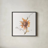 Apricot Sunflower III by Chris Paschke. Shown in a sleek black glass frame for a contemporary gallery look. Available as an archival giclee rolled canvas, fine art paper, or poster print. SKU 91440a.