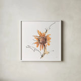 Apricot Sunflower III by Chris Paschke. Shown in a crisp white glass frame for a clean and minimalist style. Available as an archival giclee rolled canvas, fine art paper, or poster print. SKU 91440a.