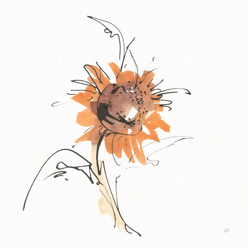 Apricot Sunflower IV by Chris Paschke. SKU 91441a. Archival Giclee Fine art print for wall decor.