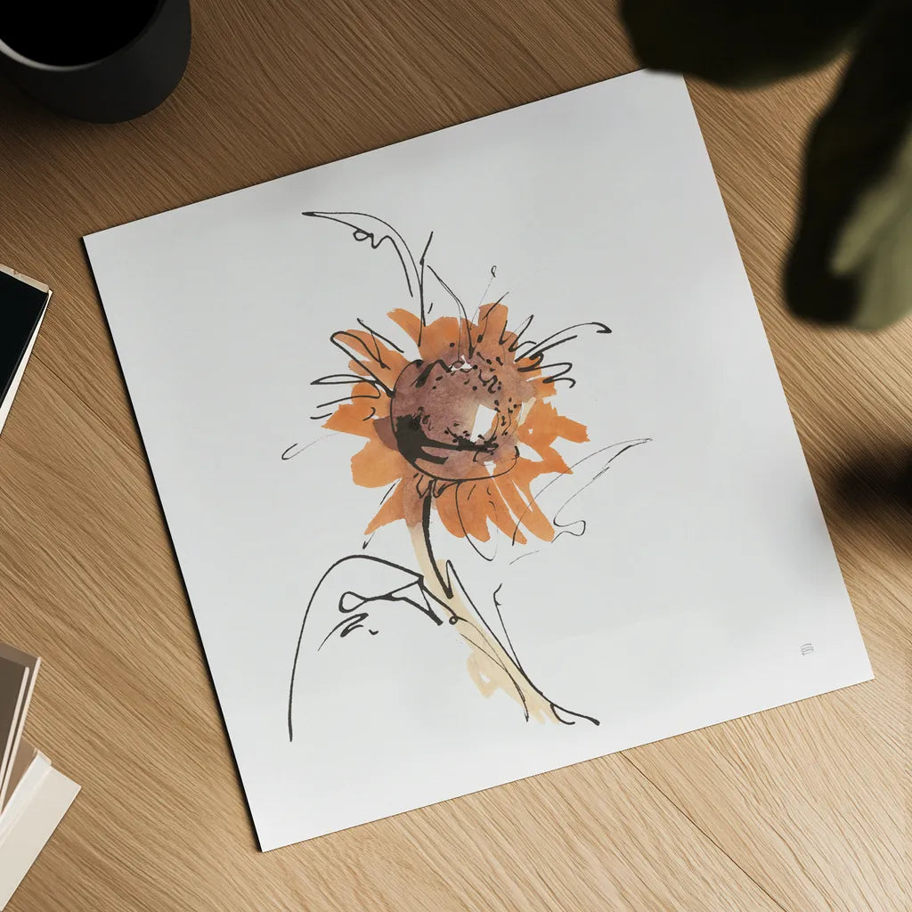 Apricot Sunflower IV by Chris Paschke. Shown as a detailed flat fine art print, highlighting archival giclee quality. Available as an archival giclee rolled canvas, fine art paper, or poster print. SKU 91441a.