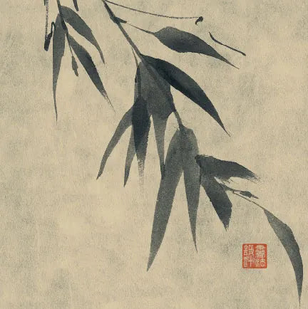 Asian Grass VI by Chris Paschke. SKU 39781a. Archival Giclee Fine art print for wall decor.