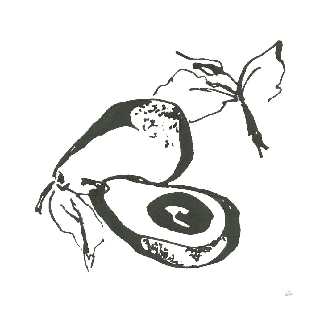 Avocado I BW by Chris Paschke. SKU 64209a. Archival Giclee Fine art print for wall decor.