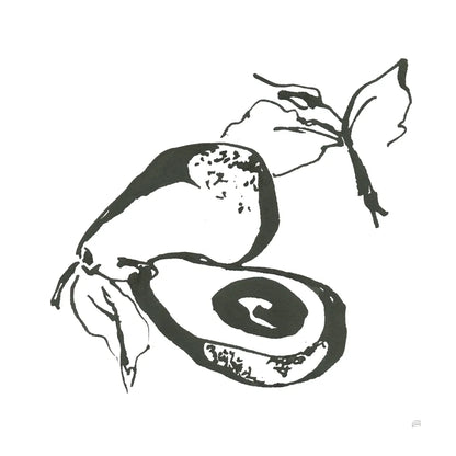 Avocado I BW by Chris Paschke. SKU 64209a. Archival Giclee Fine art print for wall decor.