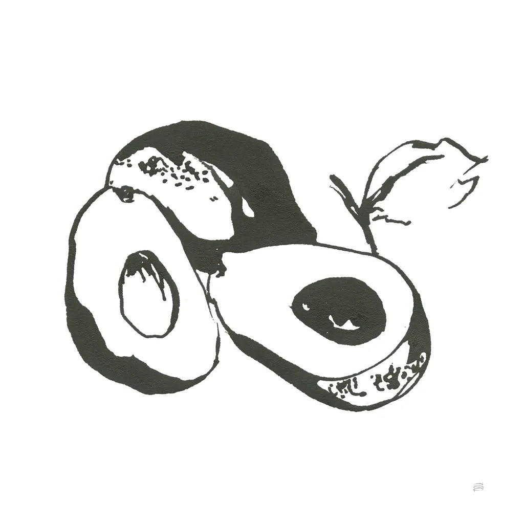 Avocado II BW by Chris Paschke. SKU 64210a. Archival Giclee Fine art print for wall decor.