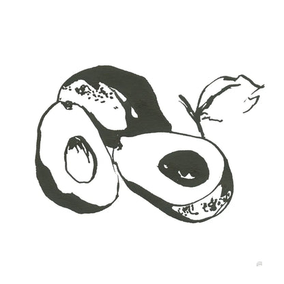 Avocado II BW by Chris Paschke. SKU 64210a. Archival Giclee Fine art print for wall decor.
